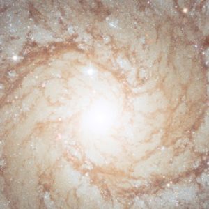 Intelligenz des Erwachens – Philosophia VI